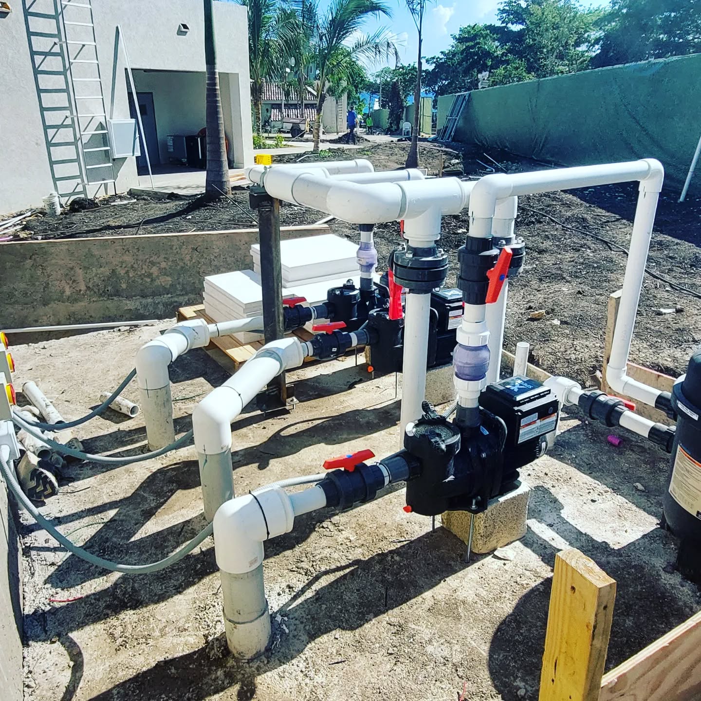 358507038_133168273139810_5345850316814256410_n