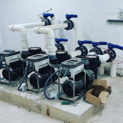 343833910_220437957285319_1877879781617748576_n